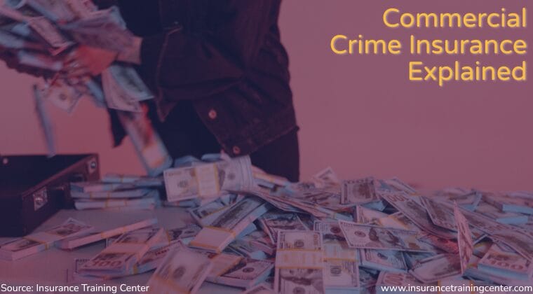 Commercial Crime Insurance Explained