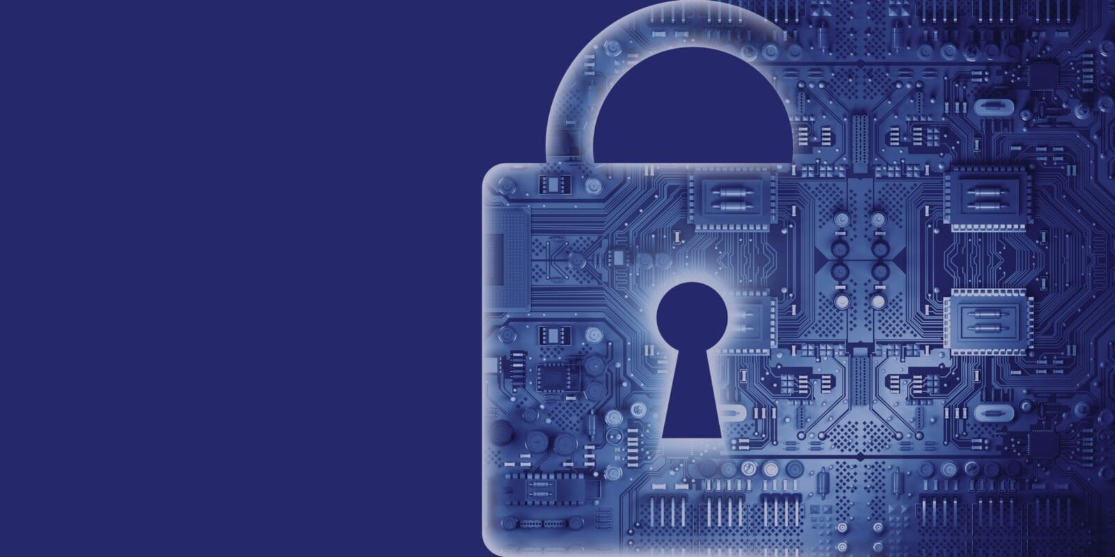 Cyber Insurance Visual