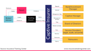 How does fronting work in a captive