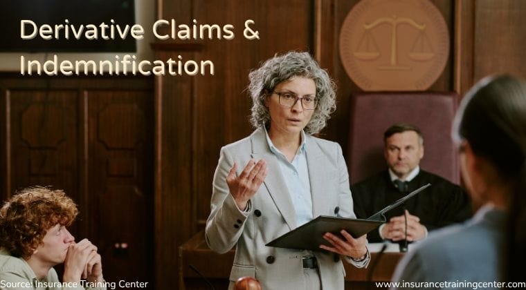 derivative claims and indemnification